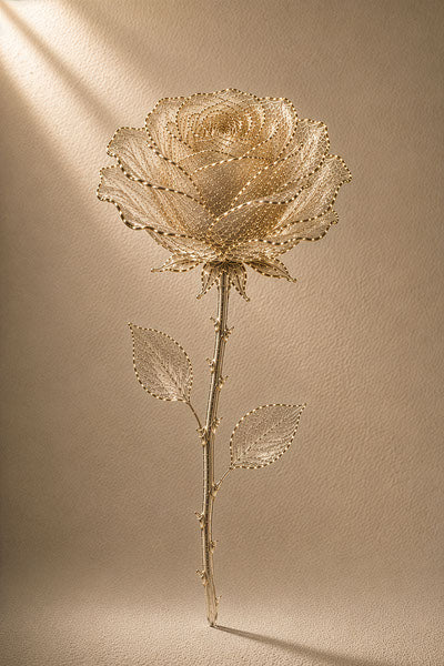 Aurelia Rose Whole, gold filigree fine art print by Daisy Junction