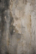 Pareidolia fine art plaster portrait print by Daisy Junction