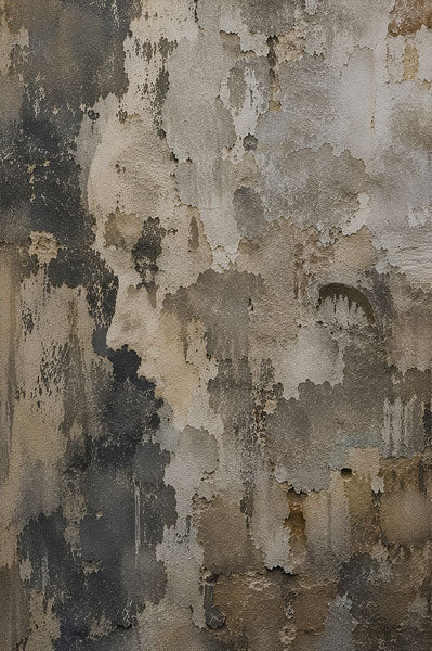 Pareidolia fine art plaster portrait print by Daisy Junction