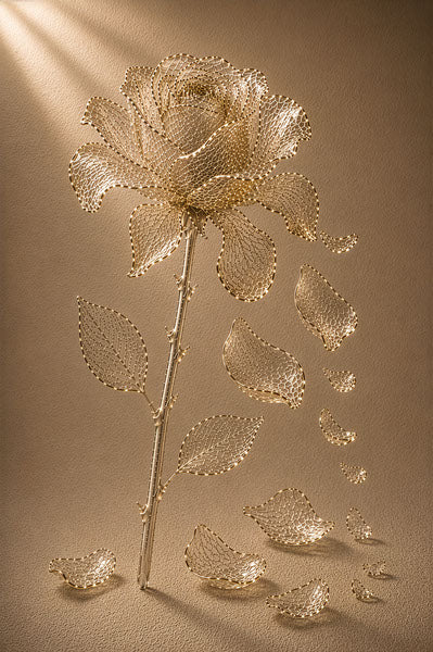 Aurelia Rose Falling, gold filigree fine art print by Daisy Junction